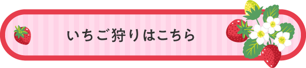 いちご狩り