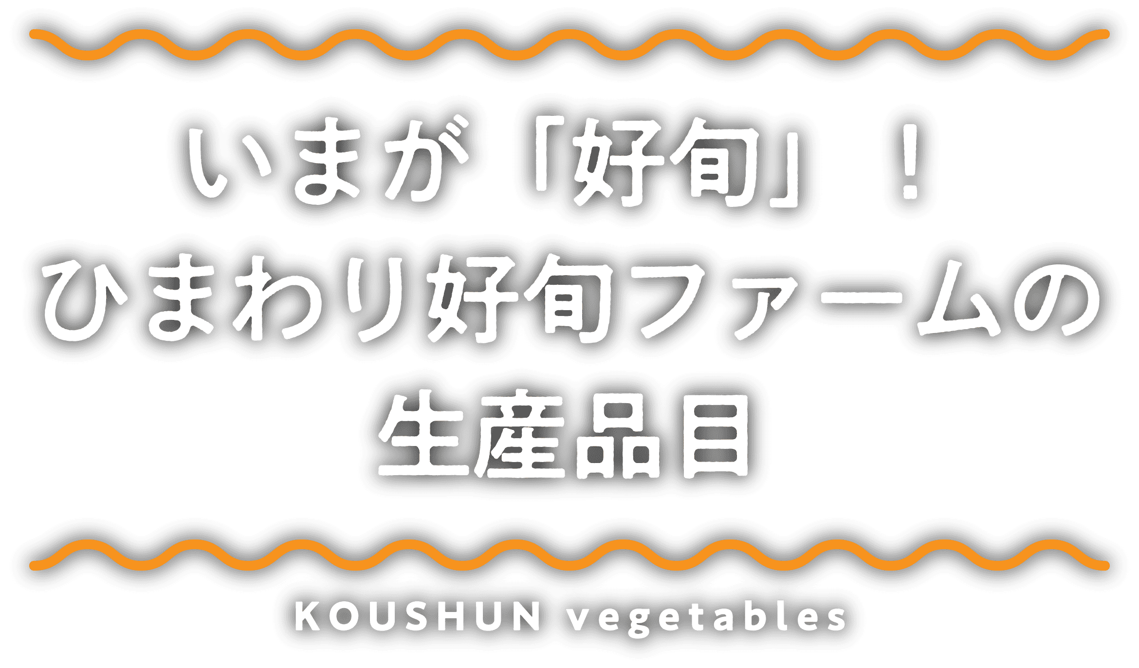 いまが「好旬」！ひまわり好旬ファームの生産費目